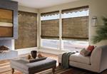 St. Petersburg Shutter Company - Gator Blinds